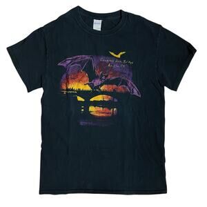 Austin Texas South Congress Bridge Sunset Bats Small ATX